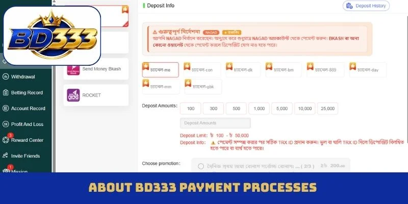 About BD333 payment processes