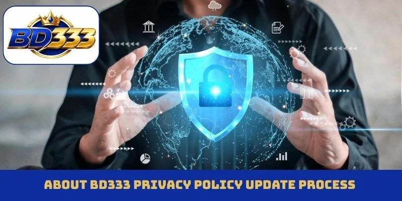 About BD333 privacy policy update process