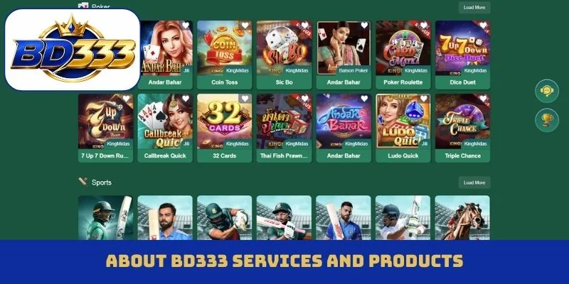 About BD333 services and products