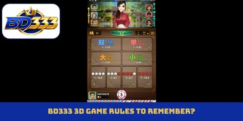 BD333 3D game rules to remember?
