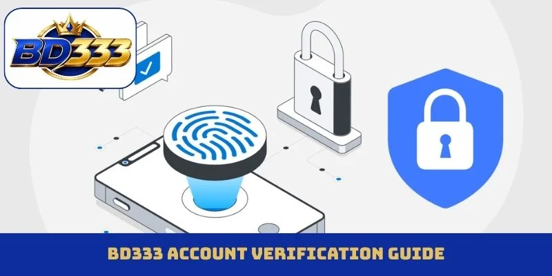 bd333-account-verification-guide