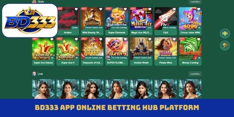 BD333 app online betting hub platform