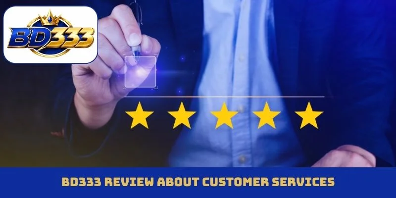 BD333 review about customer services