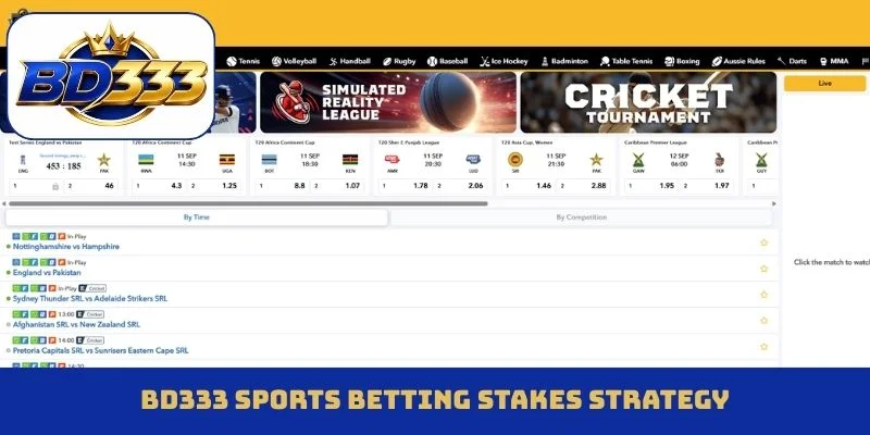 BD333 sports betting stakes strategy