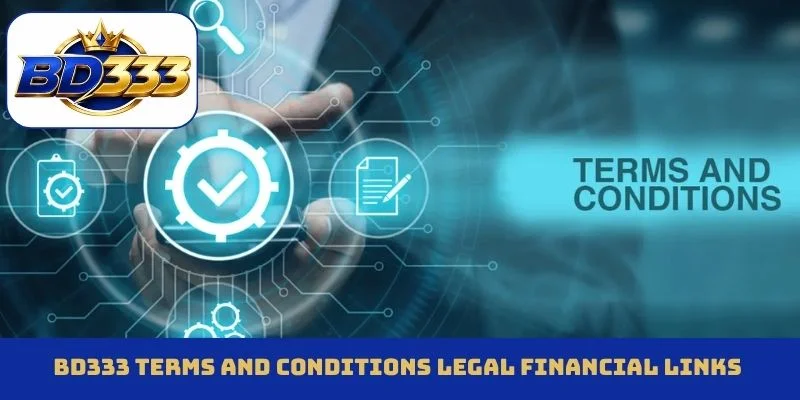 BD333 terms and conditions legal financial links