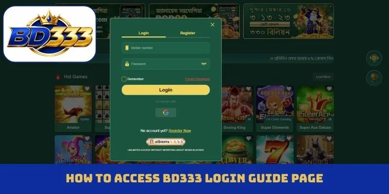 How to access BD333 login guide page