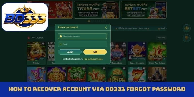 bd333 forgot password