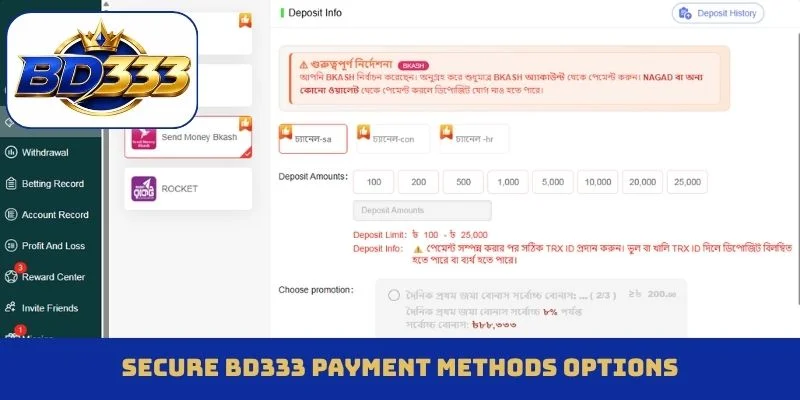 Secure BD333 payment methods options