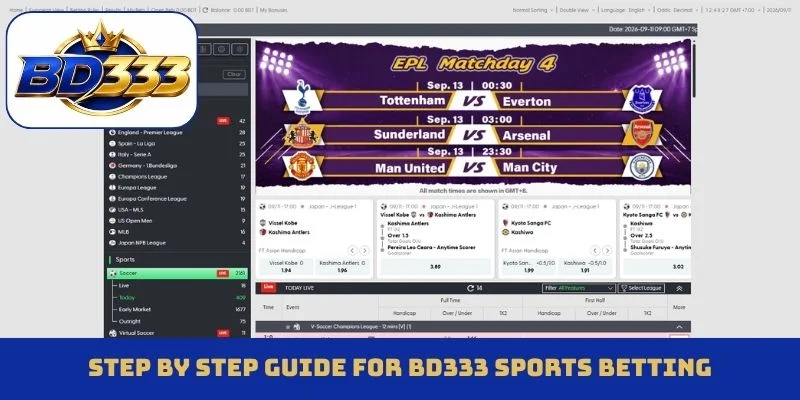 Step by step guide for BD333 sports betting