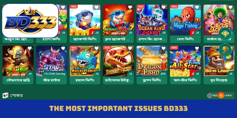 The most important issues BD333
