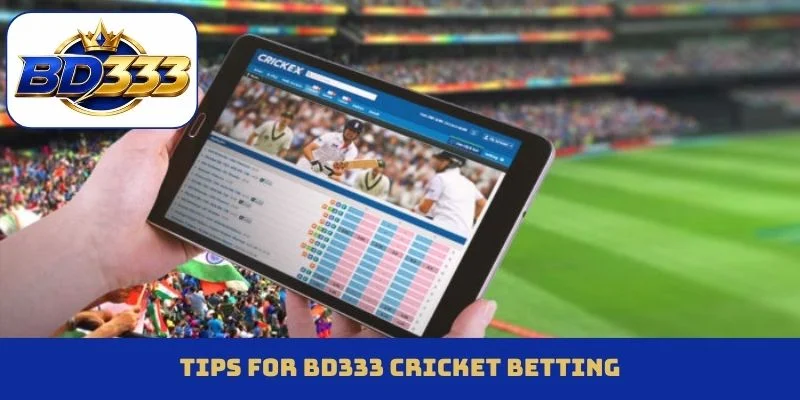 Tips for BD333 cricket betting