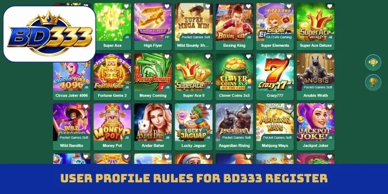 User profile rules for BD333 register